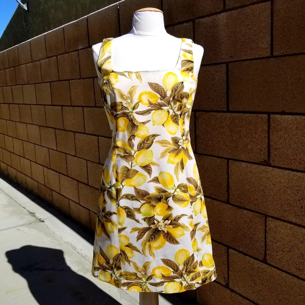 Company Ellen Tracy Lemon Fruit Sheath Dress EUC!